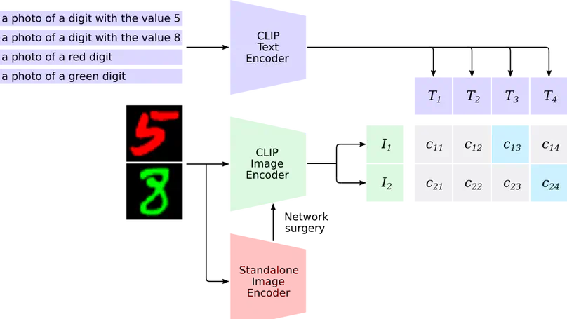 Caption-Driven Explainability: Probing CNNs for Bias via CLIP