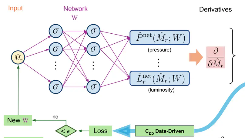 Learning the Stellar Structure Equations via Self-supervised Physics-Informed Neural Networks